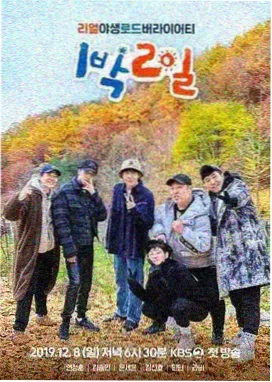 城市漫游者 综艺在线看